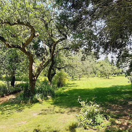 Malche Gaeste Und Tagungshaus 17