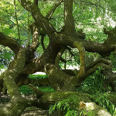 Appartement Malche Gaeste Und Tagungshaus 17