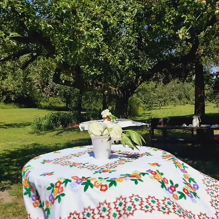 Malche Gaeste Und Tagungshaus 17 Bad Freienwalde