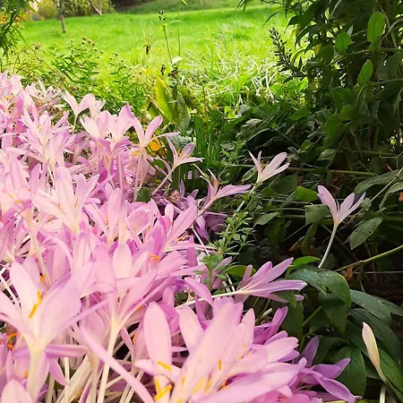 Malche Gaeste Und Tagungshaus 17