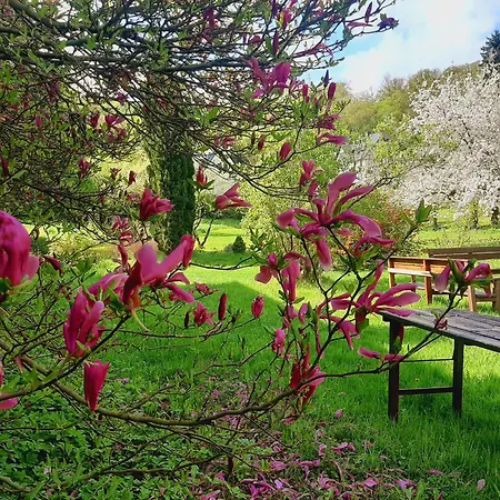 Malche Gaeste Und Tagungshaus 17 Bad Freienwalde