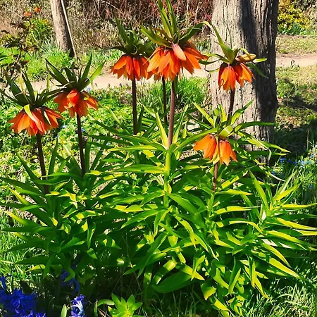 Malche Gaeste Und Tagungshaus 17 Appartement Bad Freienwalde