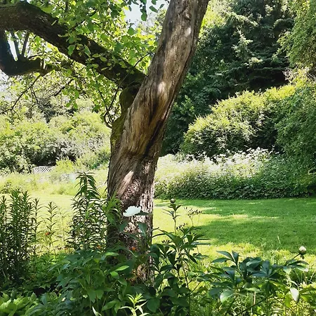 Malche Gaeste Und Tagungshaus 17 Appartement Bad Freienwalde