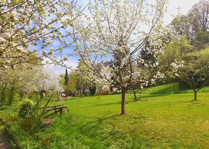 Malche Gaeste Und Tagungshaus 17 Lägenhet *
