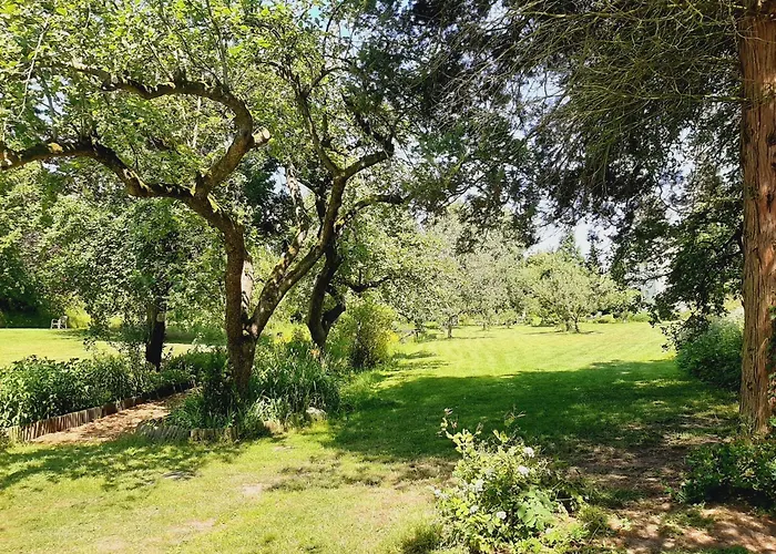 Malche Gaeste Und Tagungshaus 17