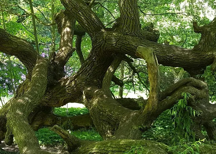 Lägenhet Malche Gaeste Und Tagungshaus 17