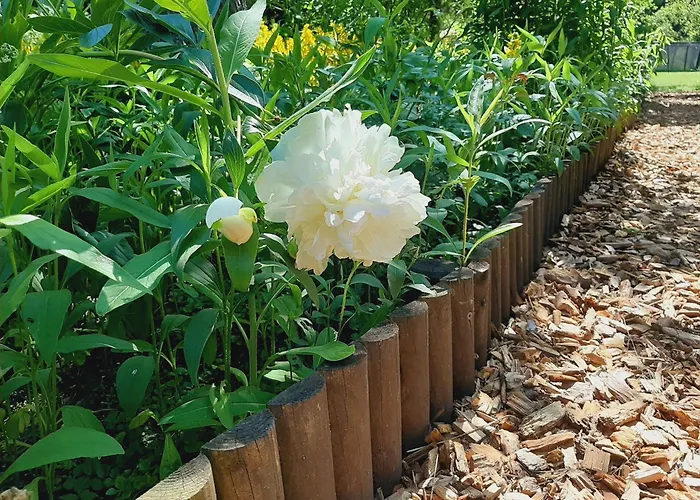 Lägenhet Malche Gaeste Und Tagungshaus 17 Bad Freienwalde