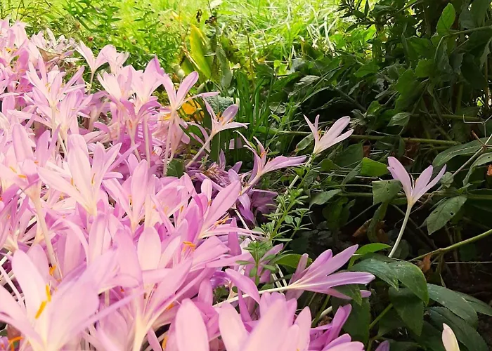 Malche Gaeste Und Tagungshaus 17