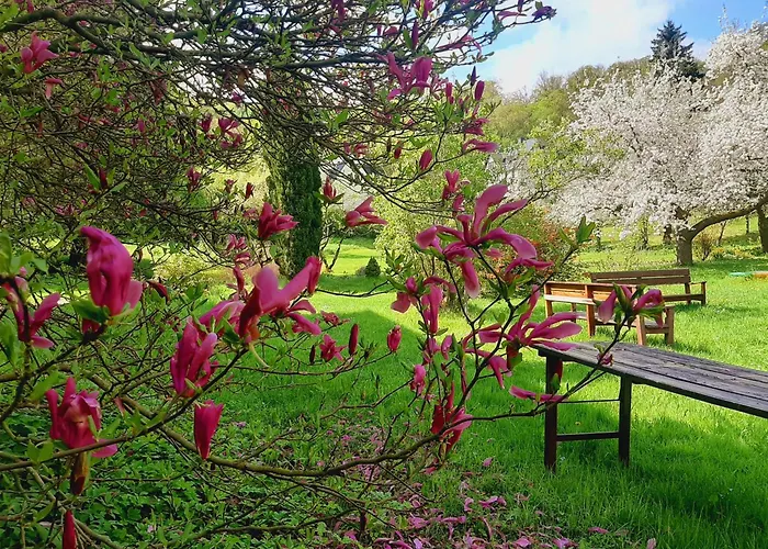 Malche Gaeste Und Tagungshaus 17 Bad Freienwalde