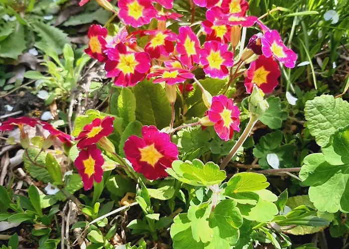 Lägenhet Malche Gaeste Und Tagungshaus 17