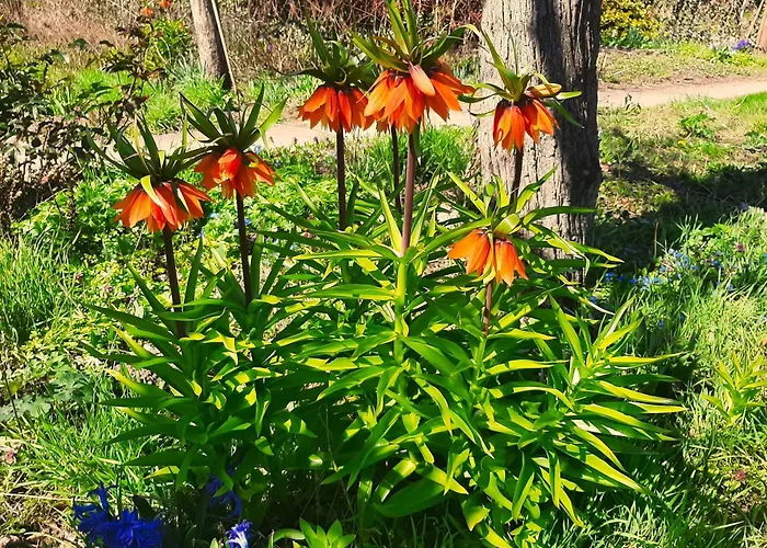 Malche Gaeste Und Tagungshaus 17 Lägenhet Bad Freienwalde