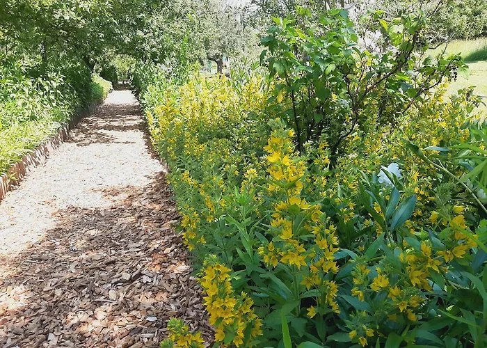 Lägenhet Malche Gaeste Und Tagungshaus 17 *