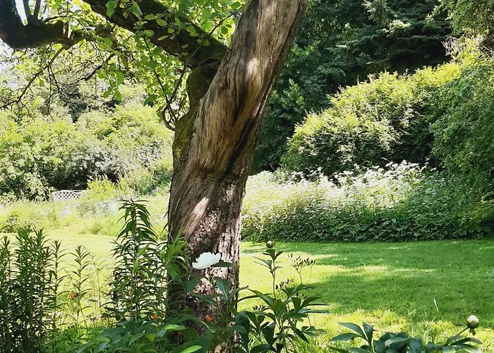 Malche Gaeste Und Tagungshaus 17 Lägenhet Bad Freienwalde